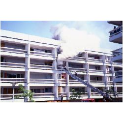 Fire caught on film3.jpg